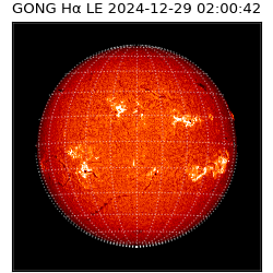 gong - 2024-12-29T02:00:42