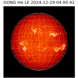 gong - 2024-12-29T04:00:42