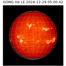 gong - 2024-12-29T05:00:42