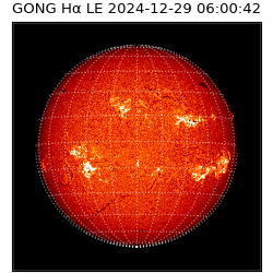 gong - 2024-12-29T06:00:42
