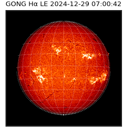 gong - 2024-12-29T07:00:42