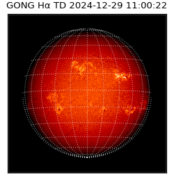 gong - 2024-12-29T11:00:22