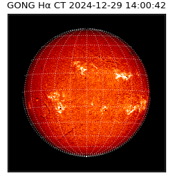 gong - 2024-12-29T14:00:42