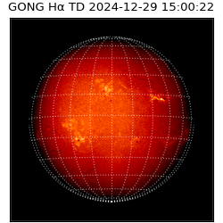 gong - 2024-12-29T15:00:22
