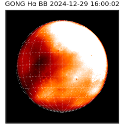 gong - 2024-12-29T16:00:02
