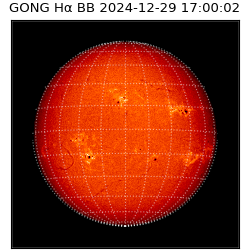 gong - 2024-12-29T17:00:02