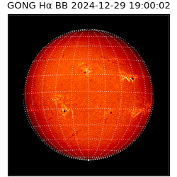 gong - 2024-12-29T19:00:02