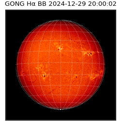 gong - 2024-12-29T20:00:02