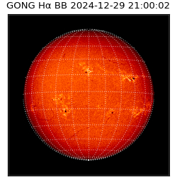 gong - 2024-12-29T21:00:02