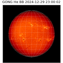 gong - 2024-12-29T23:00:02