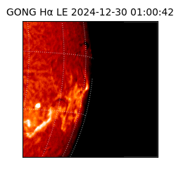 gong - 2024-12-30T01:00:42