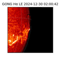 gong - 2024-12-30T02:00:42