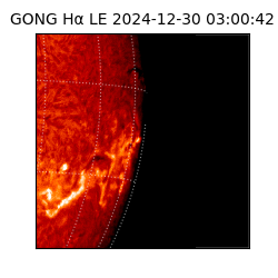 gong - 2024-12-30T03:00:42