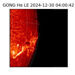 gong - 2024-12-30T04:00:42