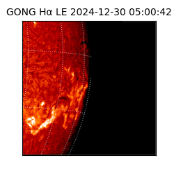gong - 2024-12-30T05:00:42