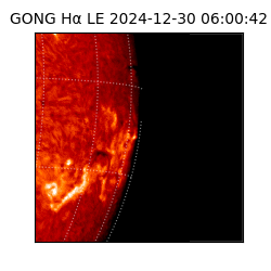 gong - 2024-12-30T06:00:42
