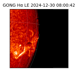 gong - 2024-12-30T08:00:42