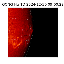 gong - 2024-12-30T09:00:22