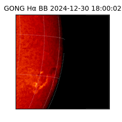 gong - 2024-12-30T18:00:02