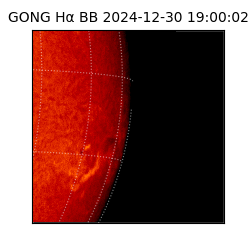 gong - 2024-12-30T19:00:02