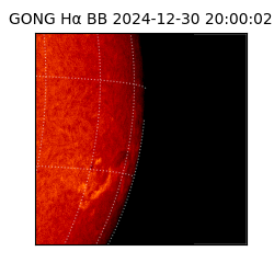 gong - 2024-12-30T20:00:02