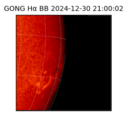 gong - 2024-12-30T21:00:02