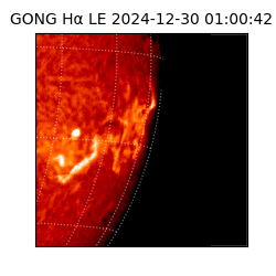 gong - 2024-12-30T01:00:42