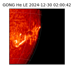 gong - 2024-12-30T02:00:42