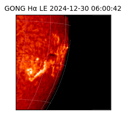 gong - 2024-12-30T06:00:42