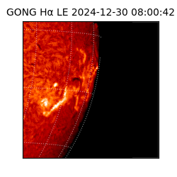 gong - 2024-12-30T08:00:42