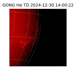 gong - 2024-12-30T14:00:22