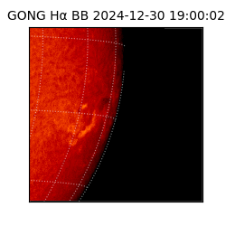 gong - 2024-12-30T19:00:02