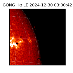 gong - 2024-12-30T03:00:42