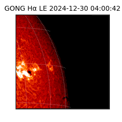 gong - 2024-12-30T04:00:42