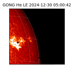 gong - 2024-12-30T05:00:42