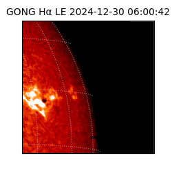 gong - 2024-12-30T06:00:42