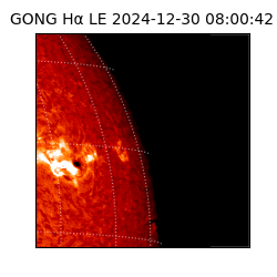 gong - 2024-12-30T08:00:42