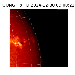 gong - 2024-12-30T09:00:22
