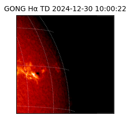 gong - 2024-12-30T10:00:22