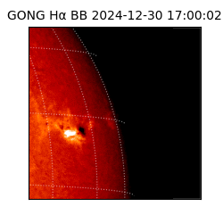 gong - 2024-12-30T17:00:02
