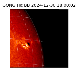 gong - 2024-12-30T18:00:02