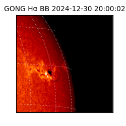 gong - 2024-12-30T20:00:02