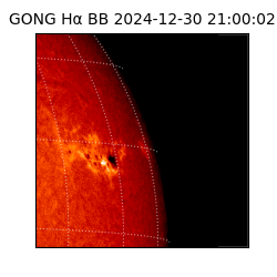 gong - 2024-12-30T21:00:02
