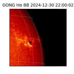 gong - 2024-12-30T22:00:02