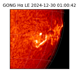 gong - 2024-12-30T01:00:42