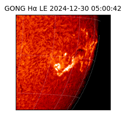 gong - 2024-12-30T05:00:42