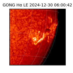 gong - 2024-12-30T06:00:42