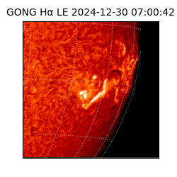 gong - 2024-12-30T07:00:42