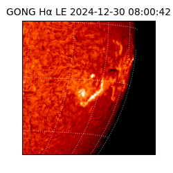 gong - 2024-12-30T08:00:42