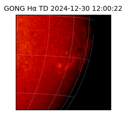 gong - 2024-12-30T12:00:22